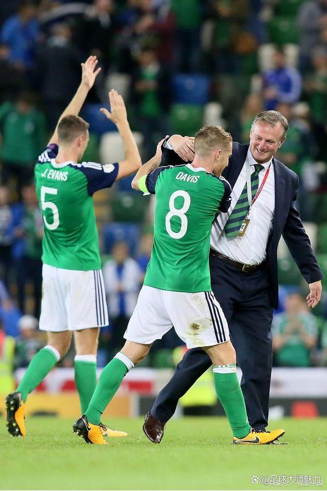 9you娱乐-爱尔兰队遗憾负于匈牙利,无缘欧锦赛