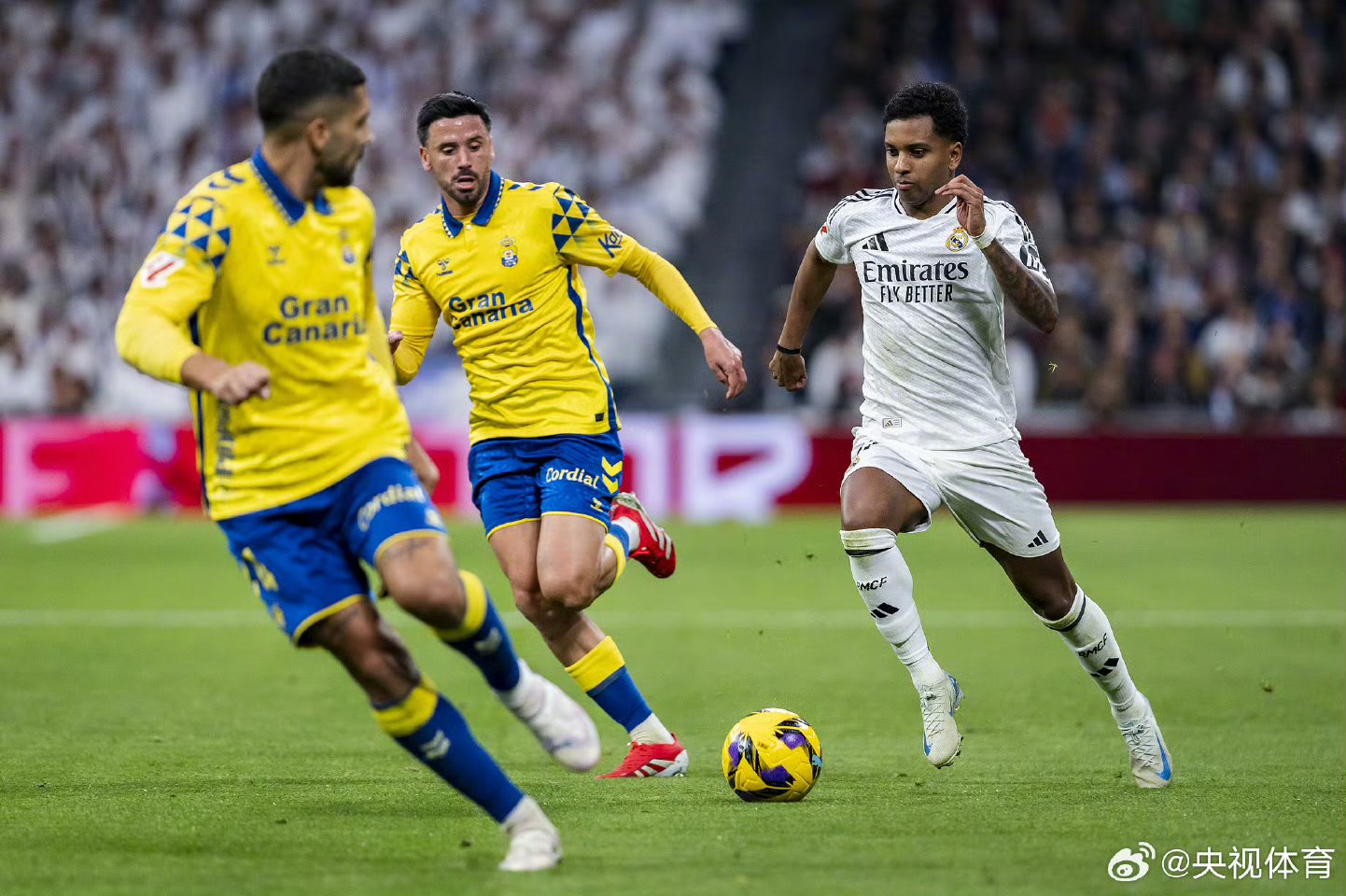 九游娱乐网站-帕尔马主场击败乌迪内斯，豪取六连胜的简单介绍