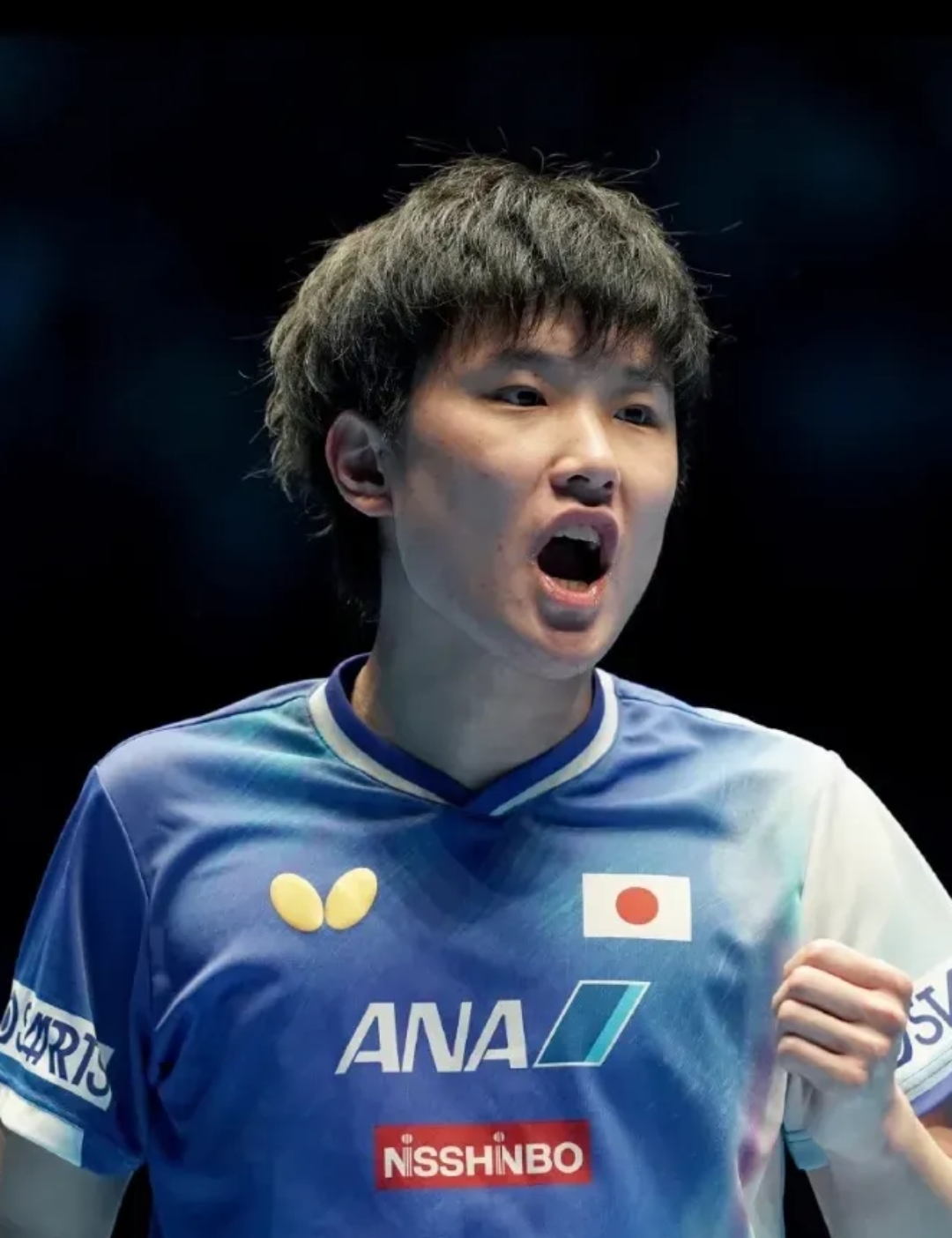 九游娱乐-比利时乒乓球队横扫日本乒乓球队，张本智和高光表现的简单介绍