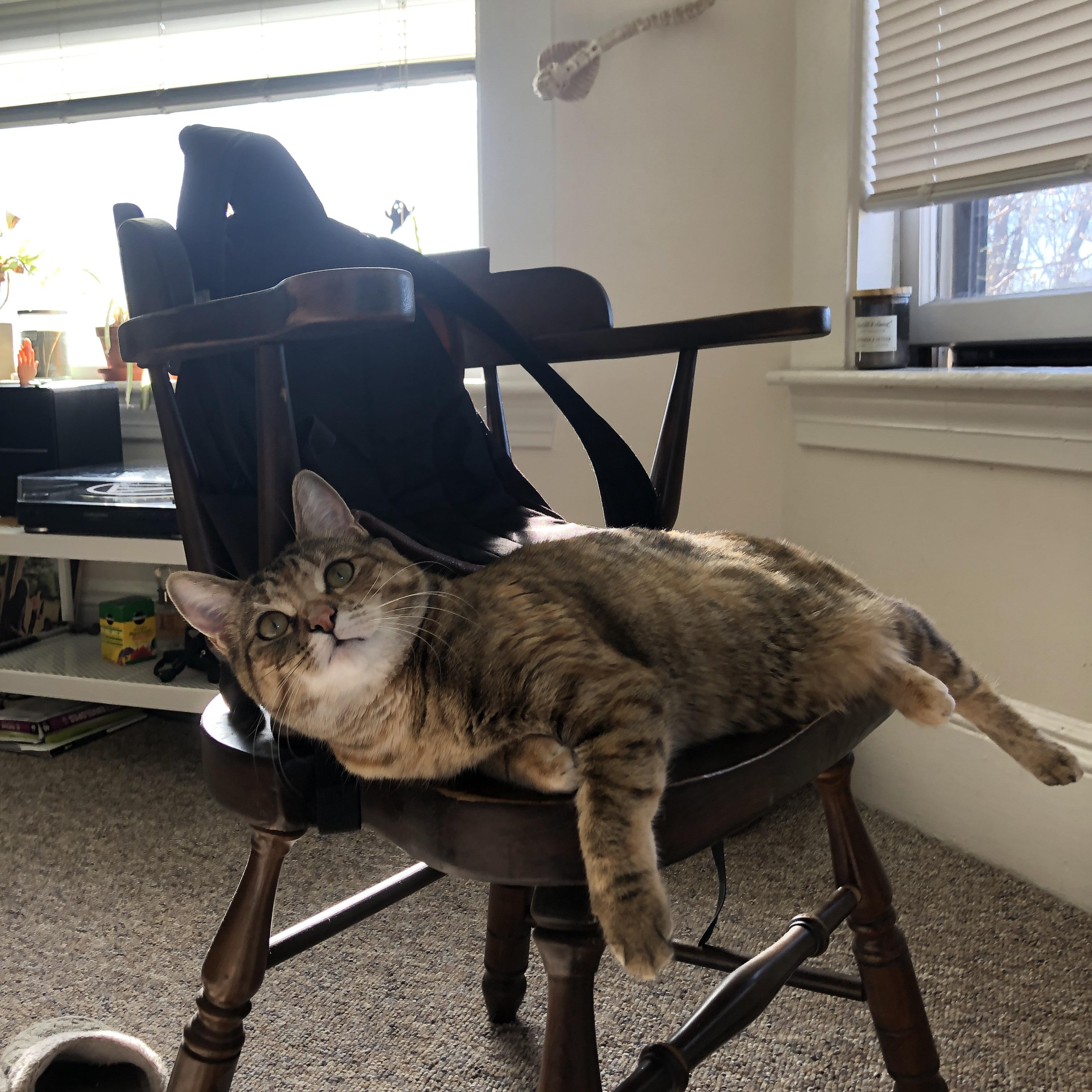 九游体育平台-逆转之夜,布鲁诺的魔法,贝蒂斯的神话